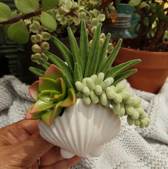 Bath & Body Works Other - BBW WALLFLOWER PLUG